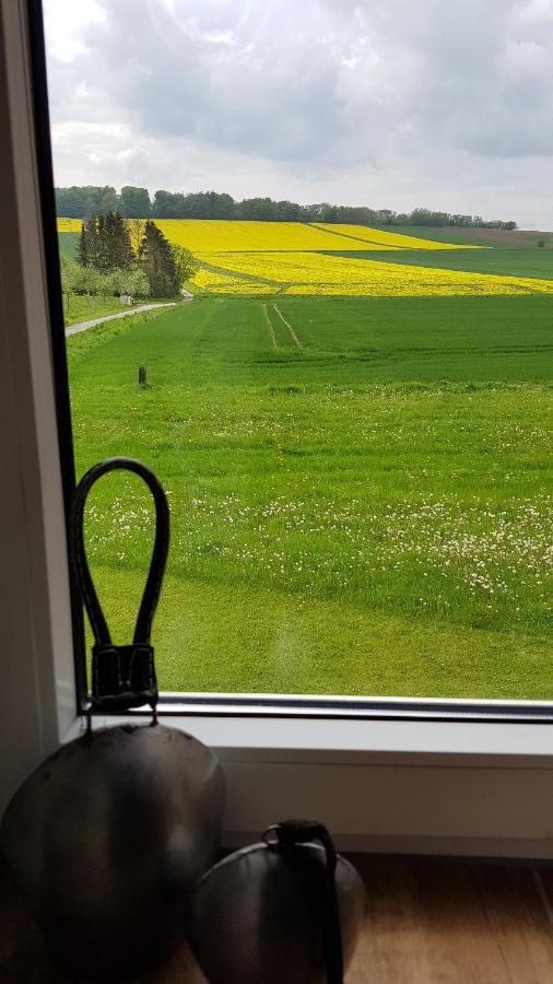 Appartamento Waldblick Bremke  Esterno foto